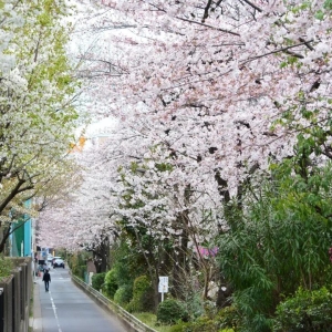 体制内职场天花板