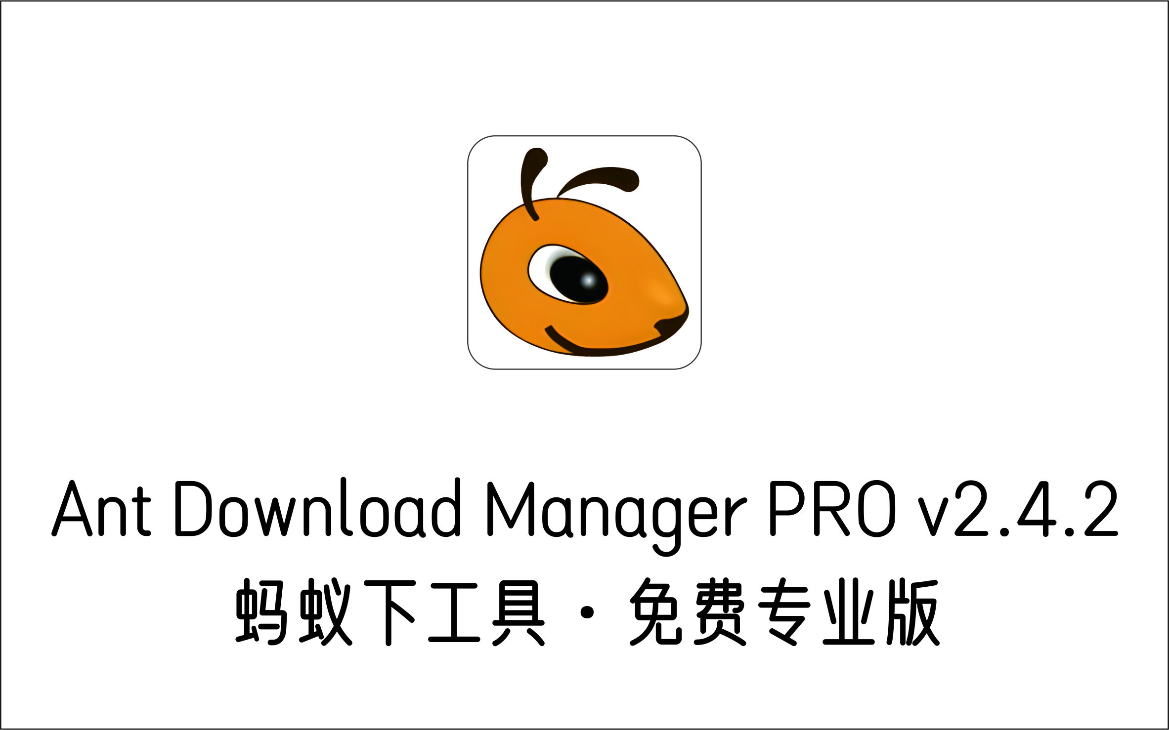 蚂蚁下载器 Ant Download Manager PRO v2.4.2 免费专业版-1